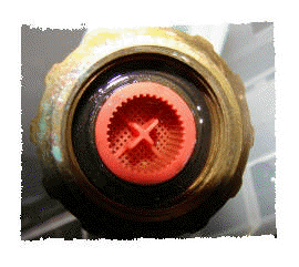 Sieb im Einlaufschlauch des Aqua Stop